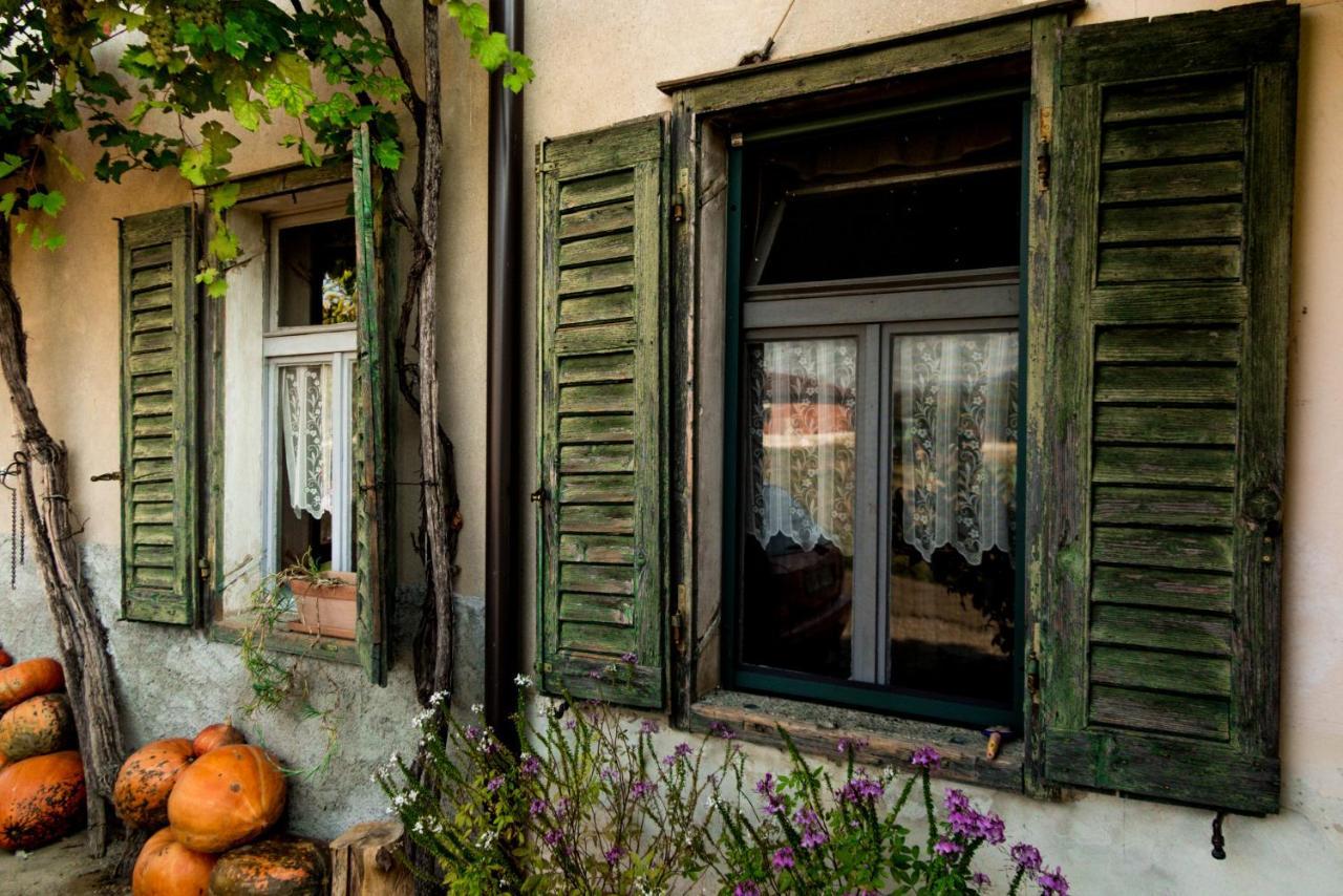 Maxi Sonce, Odprte Vasi Villa Prvacina Exterior photo